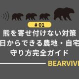 熊を寄せ付けない対策｜今日からできる農地・自宅の守り方完全ガイド