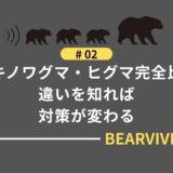 ツキノワグマ・ヒグマ完全比較｜違いを知れば対策が変わる
