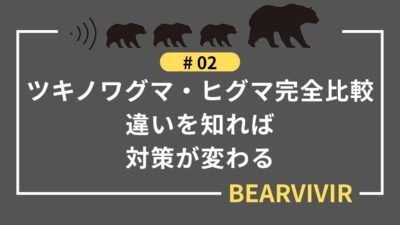 ツキノワグマ・ヒグマ完全比較｜違いを知れば対策が変わる