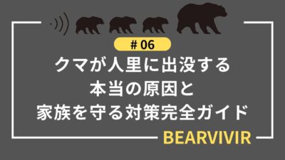 クマが人里に出没する本当の原因と家族を守る対策完全ガイド