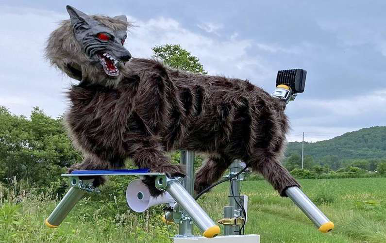 モンスターウルフ